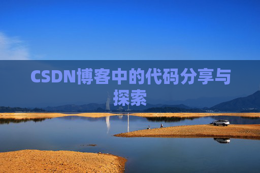 CSDN博客中的代码分享与探索